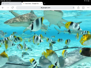 Should I hold my breath under water?